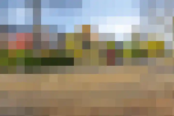 Iepenhof 37 Dieren thumbnail 39