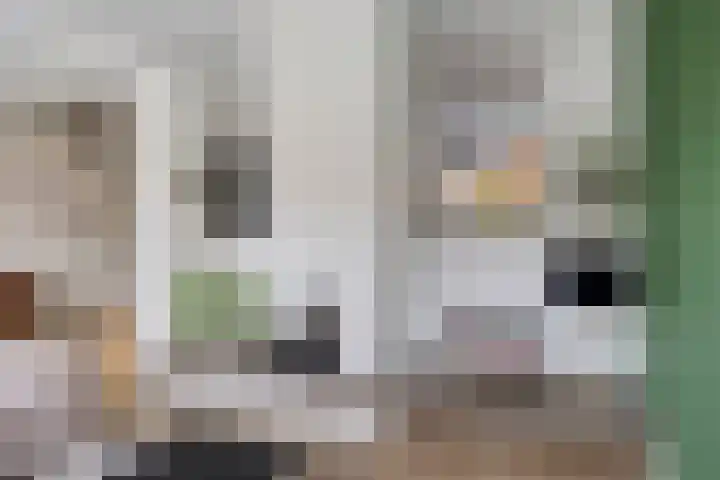 Iepenhof 37 Dieren thumbnail 4