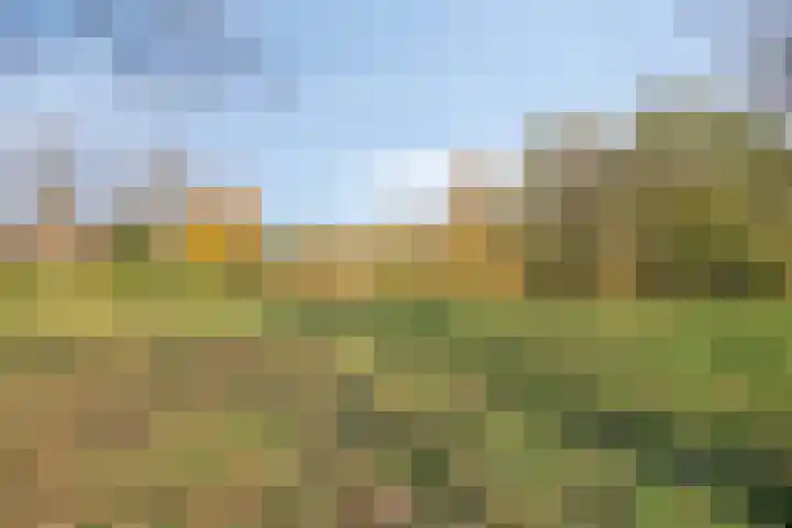 Iepenhof 37 Dieren thumbnail 40