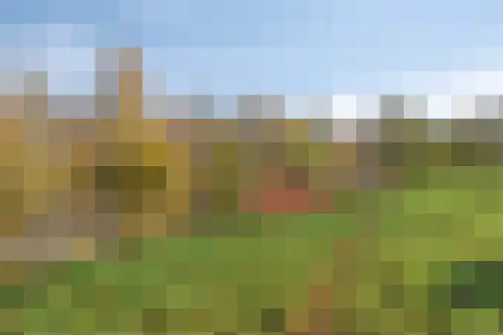 Iepenhof 37 Dieren thumbnail 41