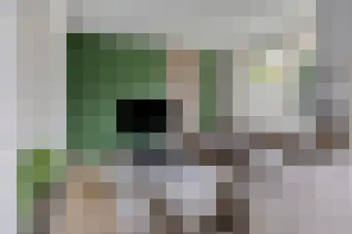 Iepenhof 37 Dieren thumbnail 5
