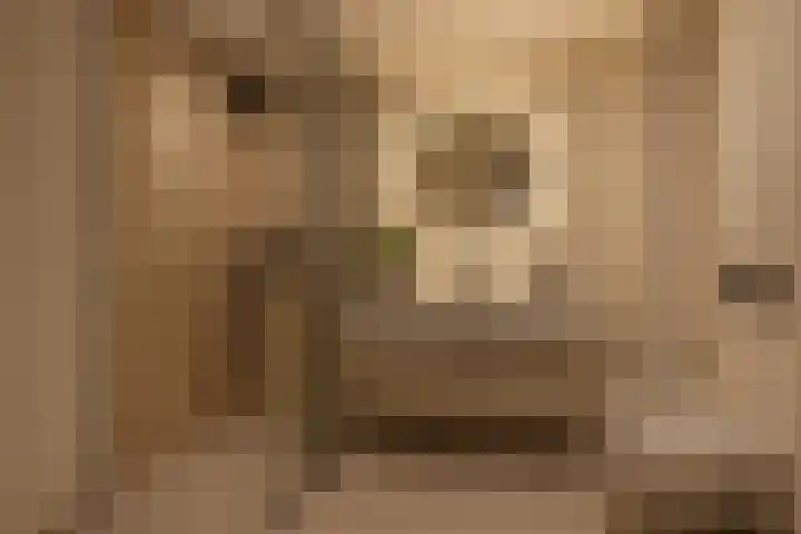 Iepenhoven 17 Maastricht thumbnail 12