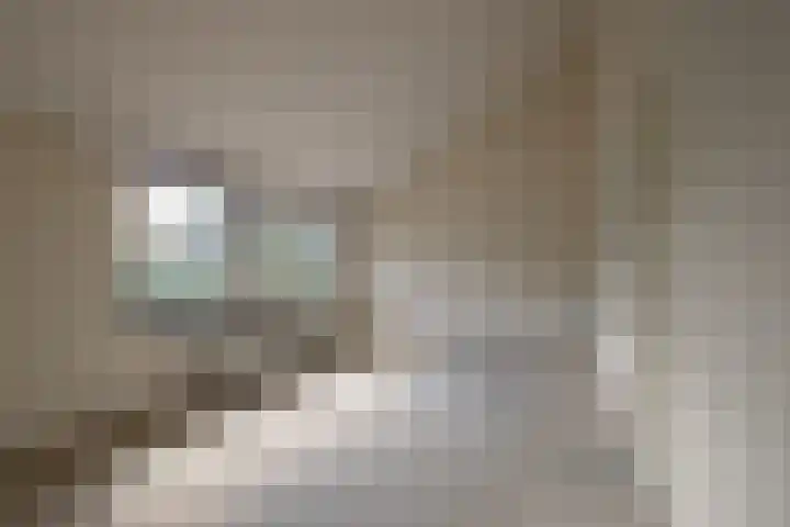 Iepenhoven 17 Maastricht thumbnail 9