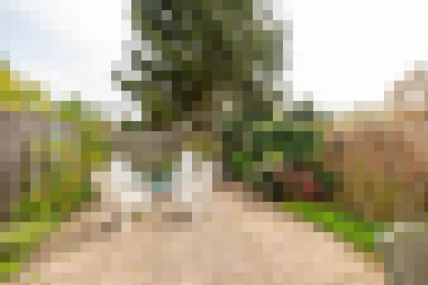 Iepenhoven 27 Maastricht thumbnail 44