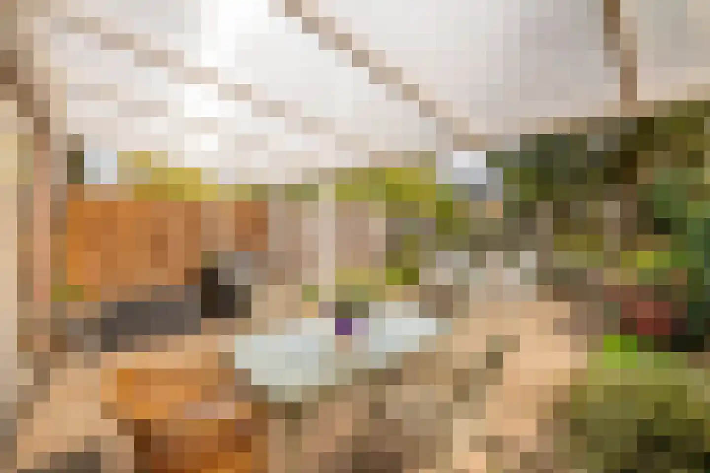 Iepenhoven 27 Maastricht thumbnail 50