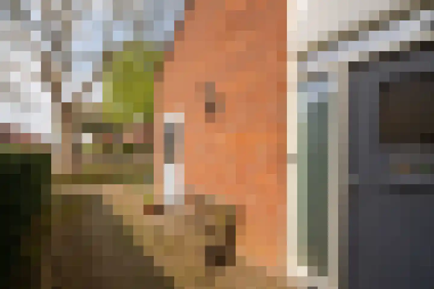Iepenhoven 27 Maastricht thumbnail 58