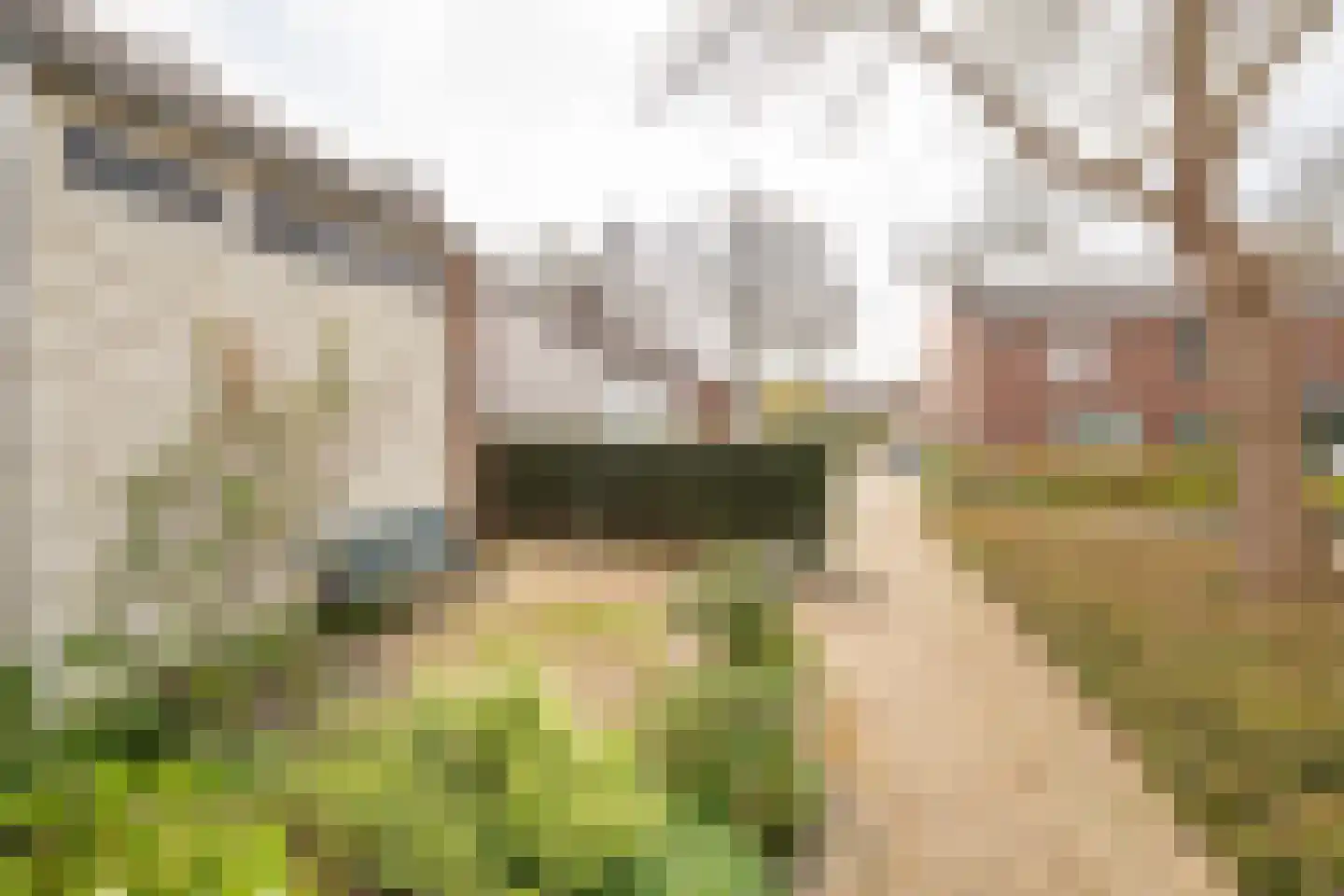 Iepenhoven 27 Maastricht thumbnail 59
