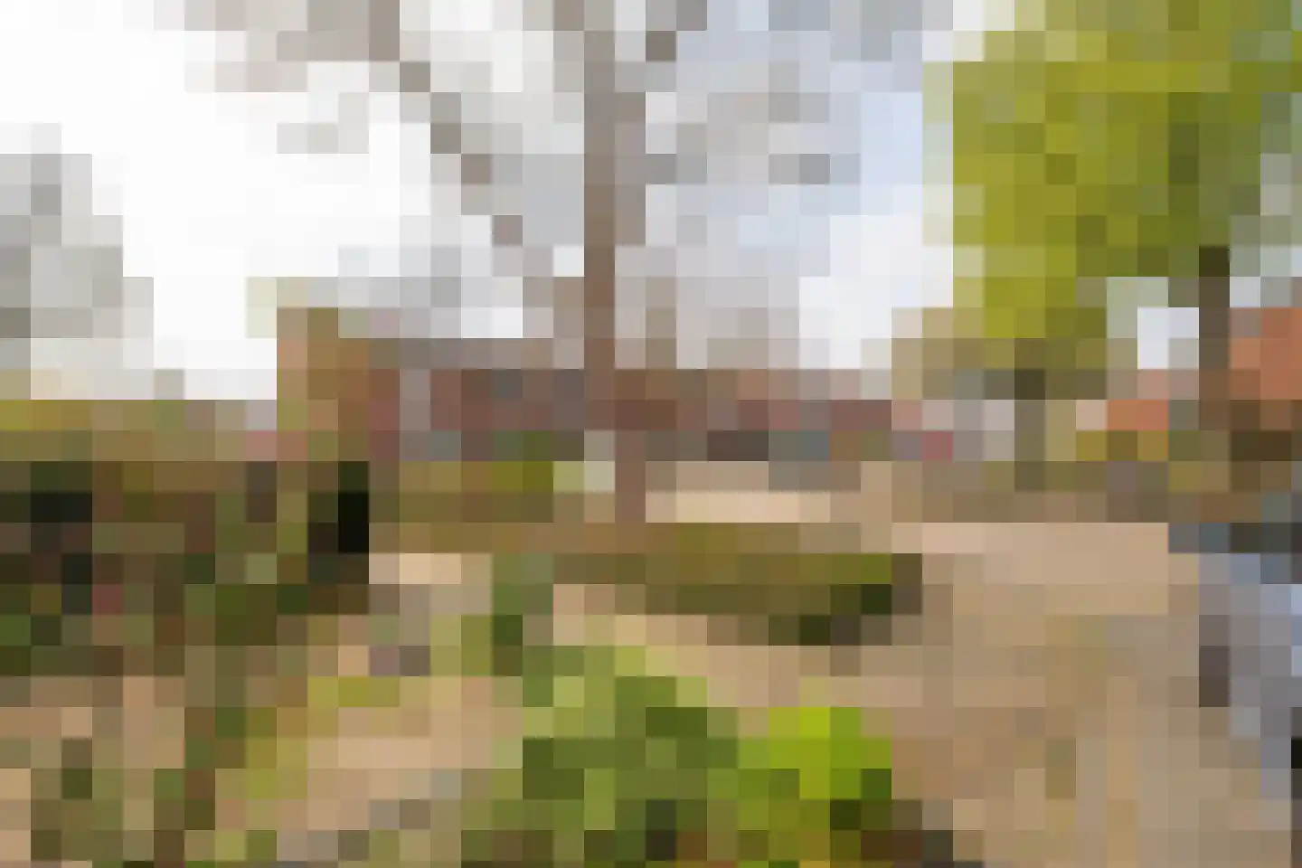 Iepenhoven 27 Maastricht thumbnail 60