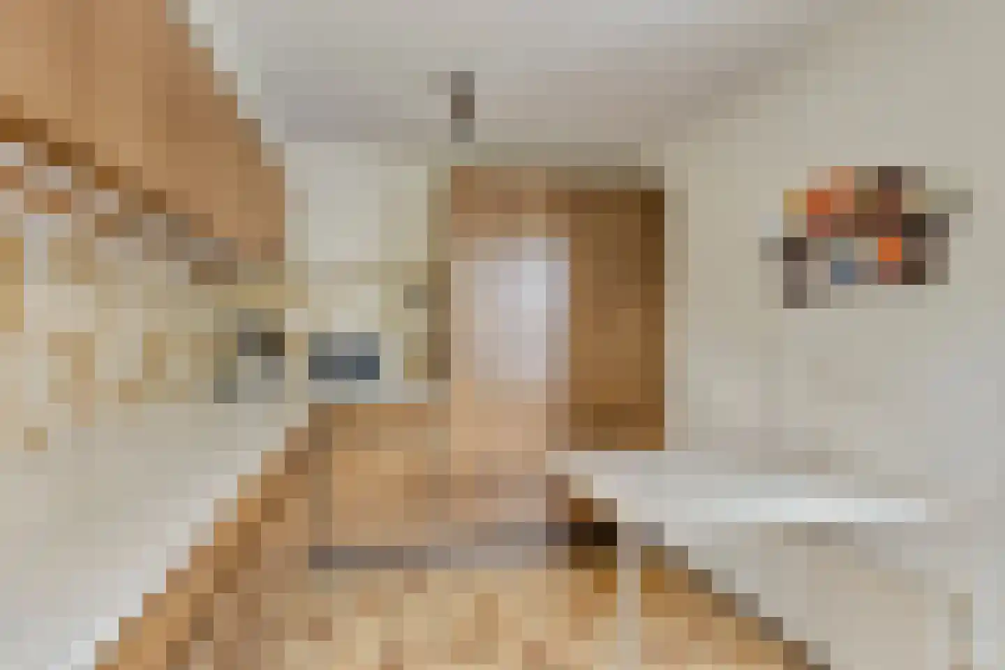 Iepenlaan 1 Castricum thumbnail 12