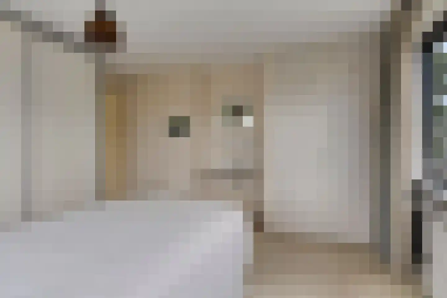 Iepenlaan 1 Castricum thumbnail 15