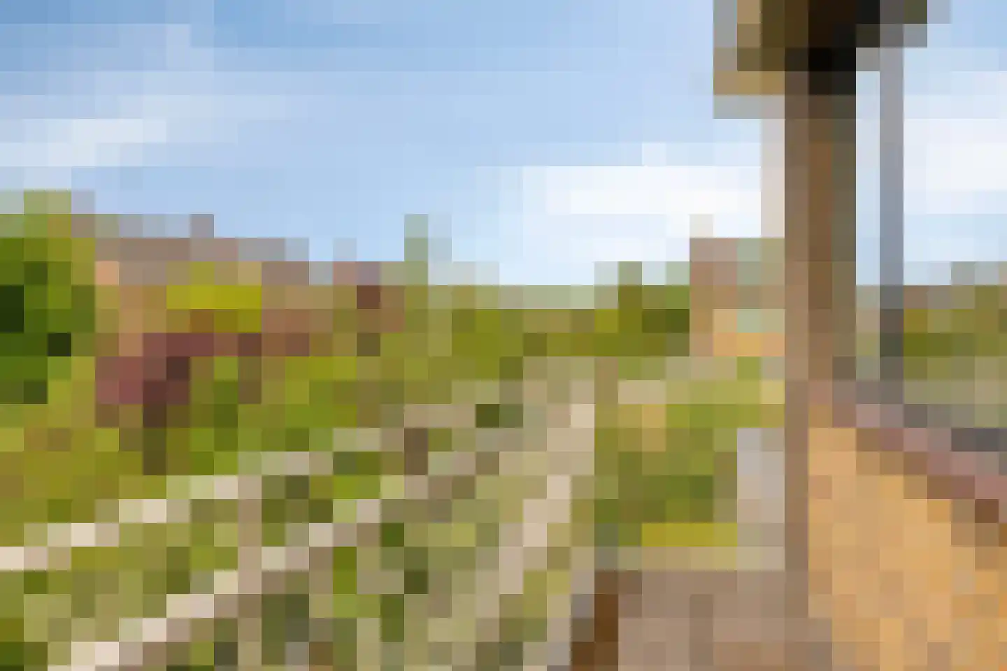 Iepenlaan 1 Castricum thumbnail 16