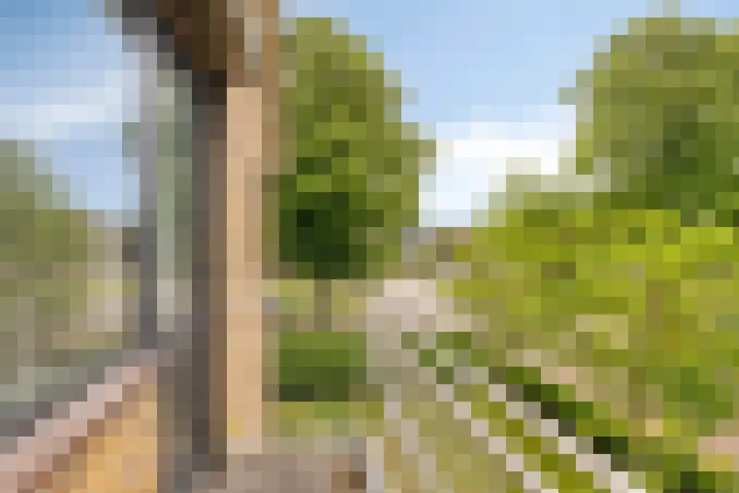 Iepenlaan 1 Castricum thumbnail 17