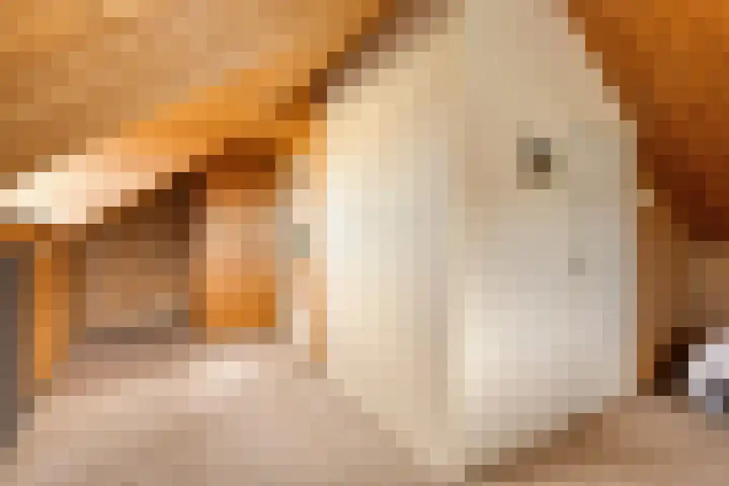 Iepenlaan 1 Castricum thumbnail 25