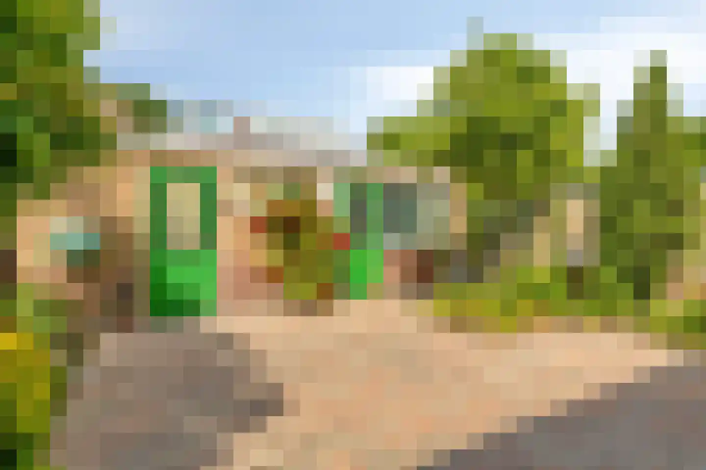 Iepenlaan 1 Castricum thumbnail 27