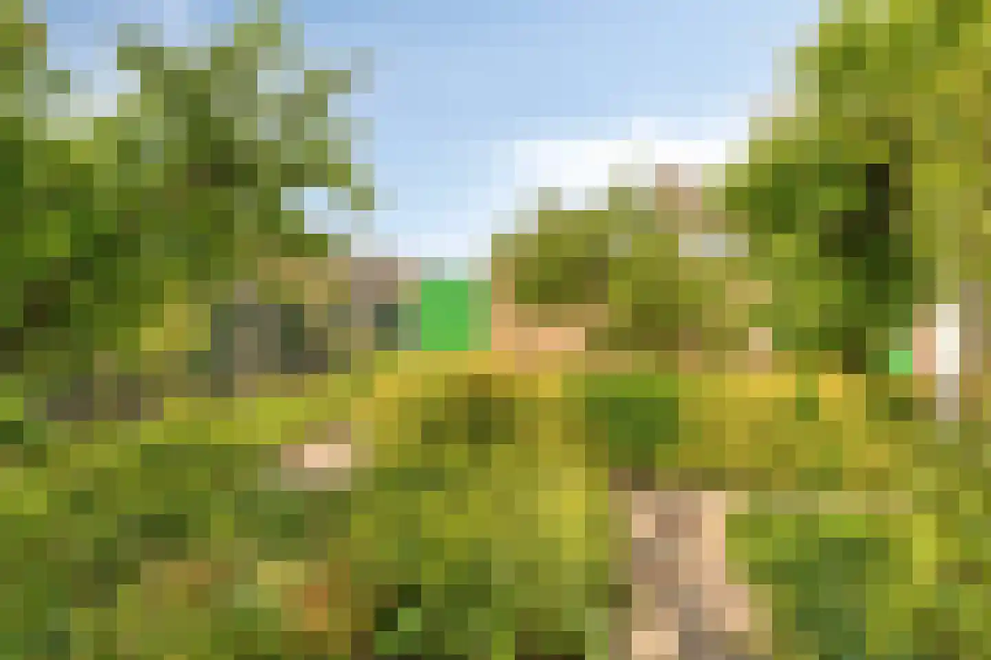 Iepenlaan 1 Castricum thumbnail 29