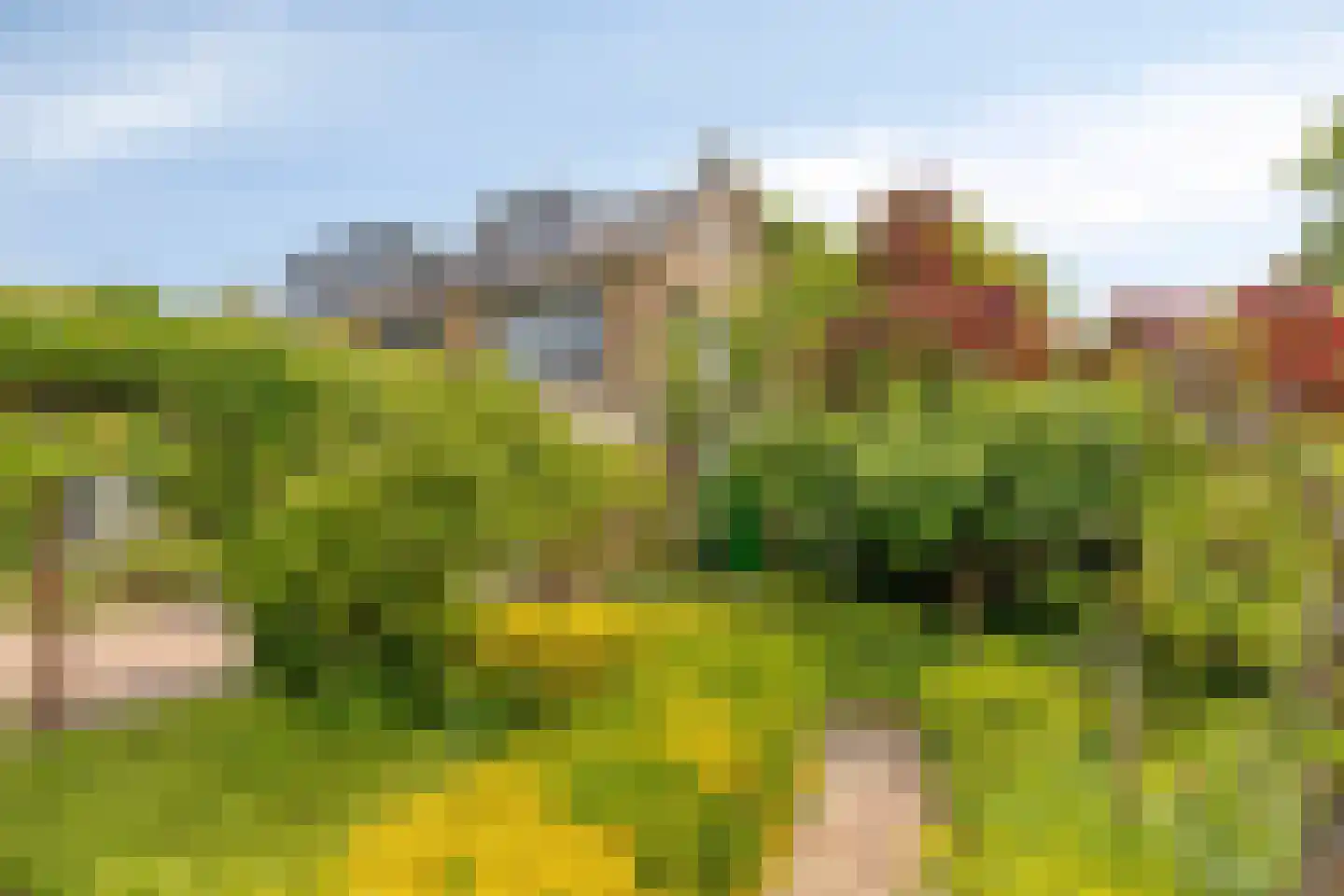 Iepenlaan 1 Castricum thumbnail 30