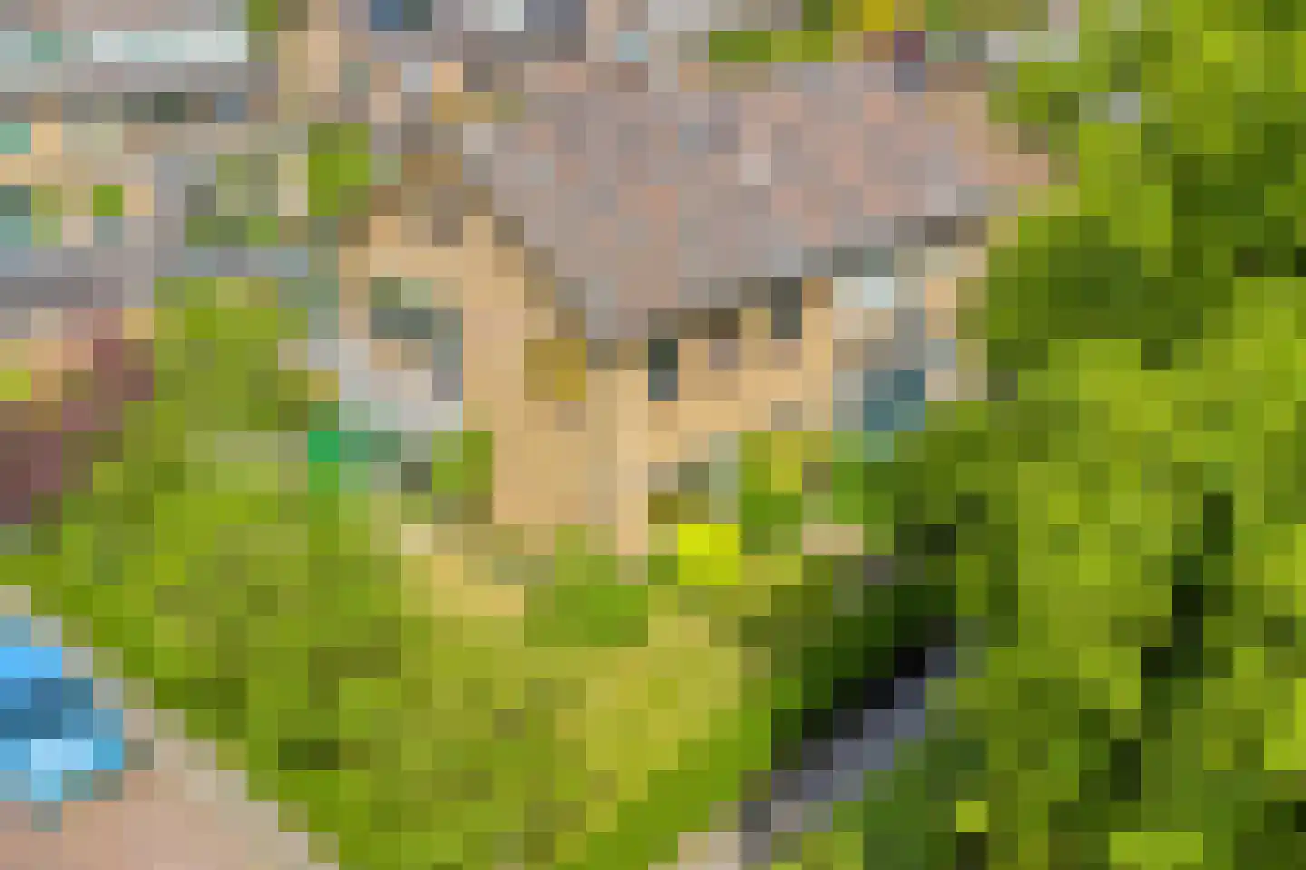 Iepenlaan 1 Castricum thumbnail 35