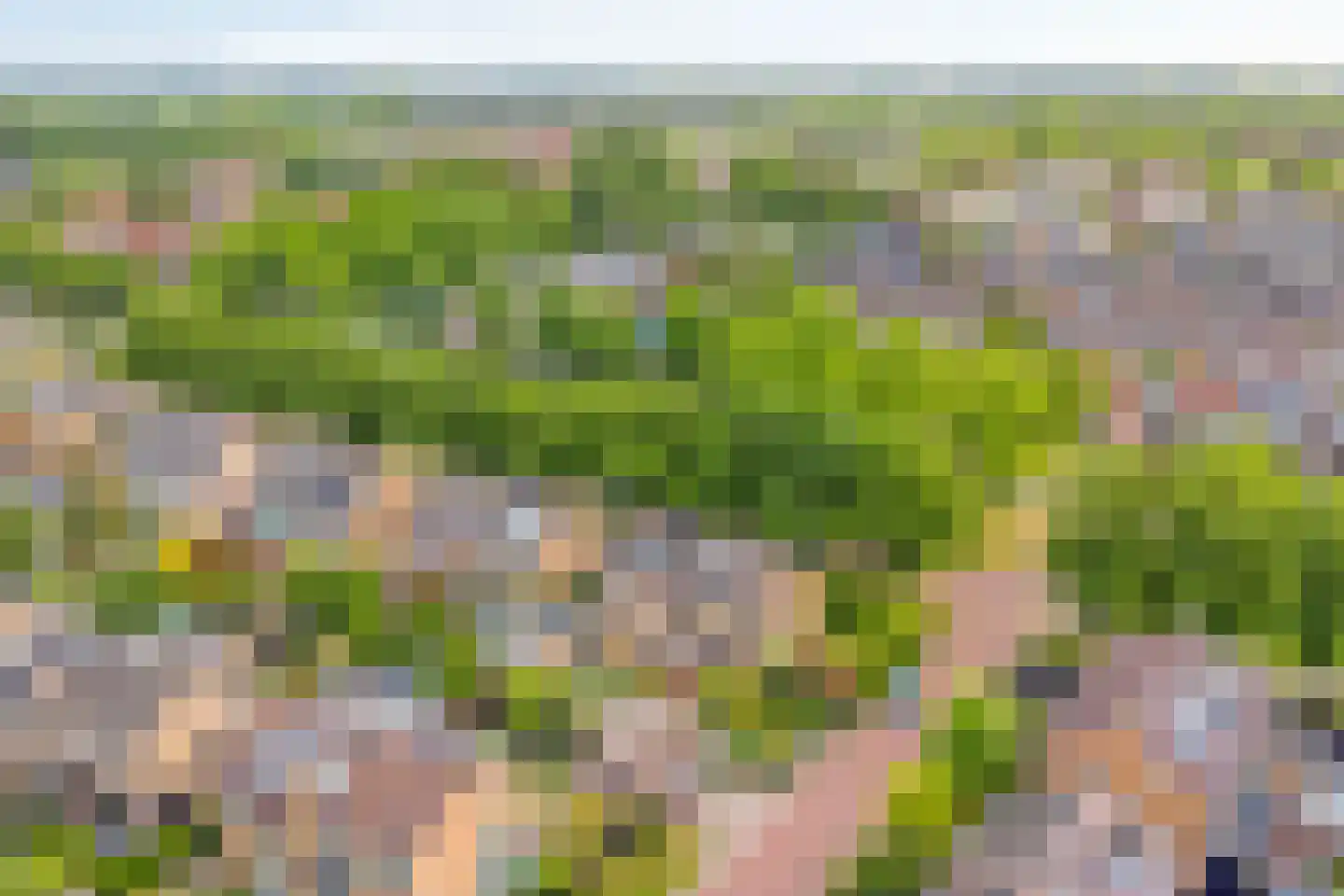 Iepenlaan 1 Castricum thumbnail 37