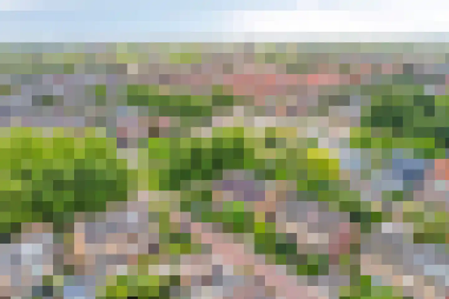Iepenlaan 1 Castricum thumbnail 38