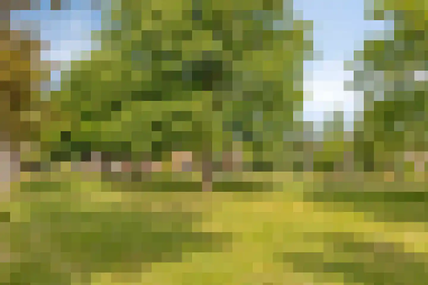 Iepenlaan 1 Castricum thumbnail 39