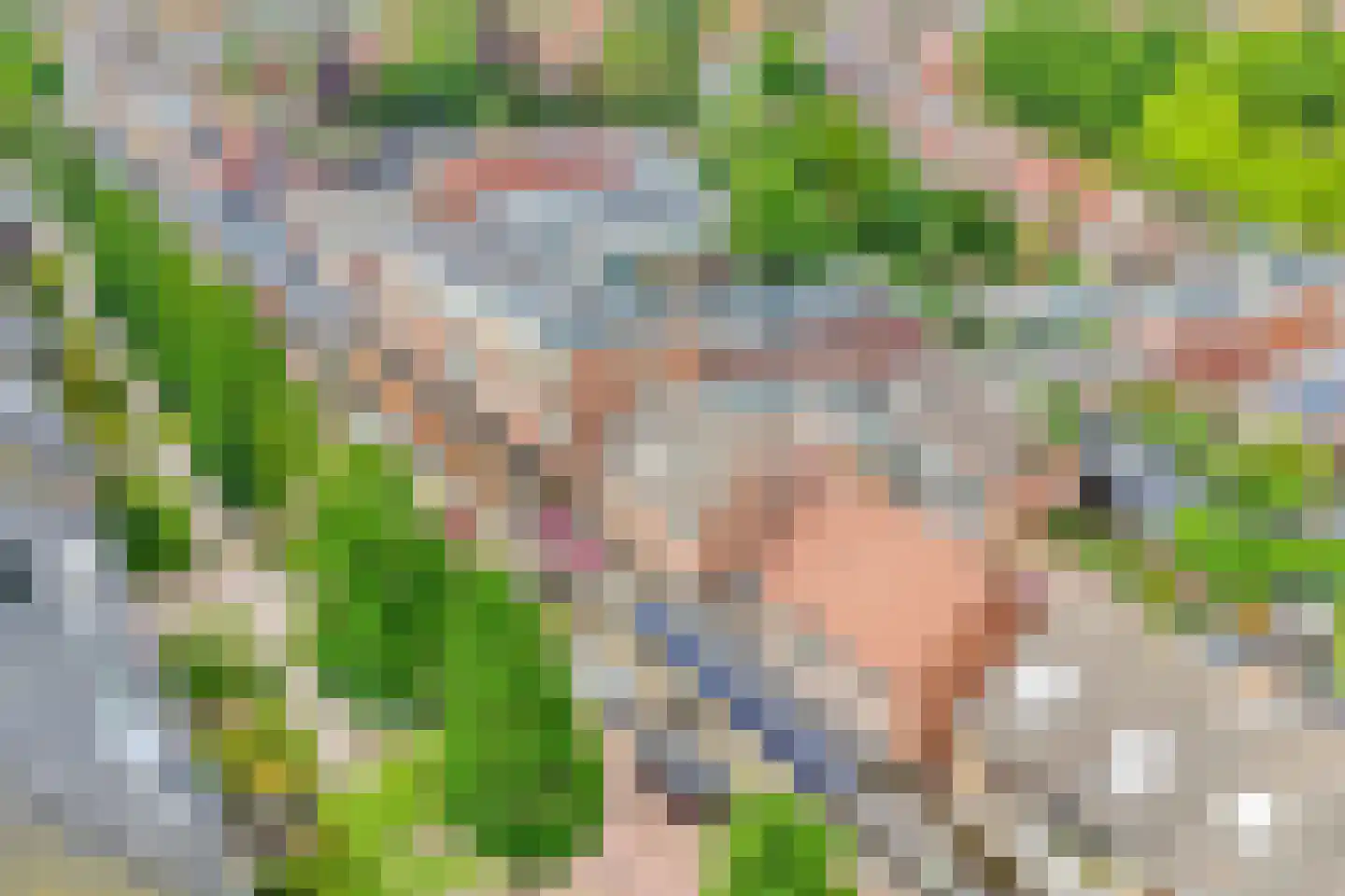 Iepenlaan 1 Castricum thumbnail 42