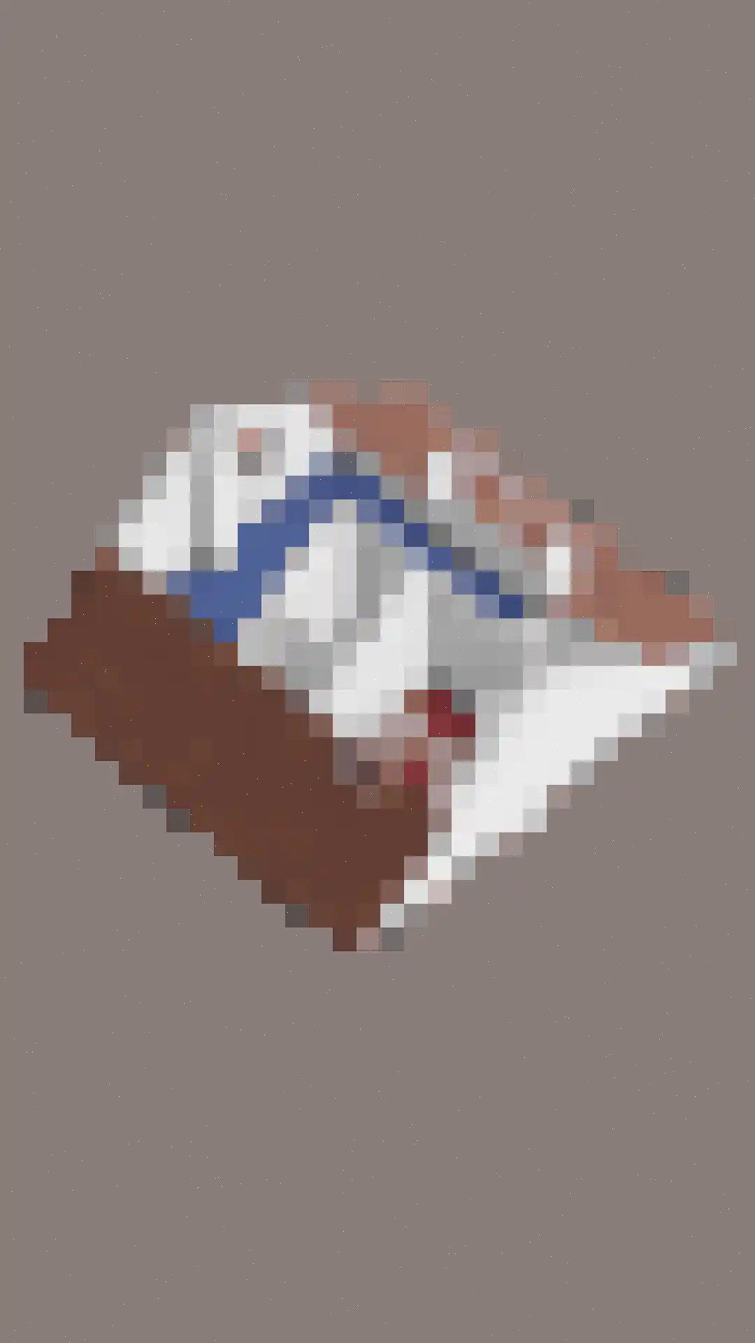 Iepenlaan 1 Castricum thumbnail 50