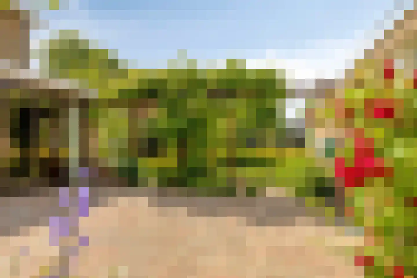 Iepenlaan 1 Castricum thumbnail 6
