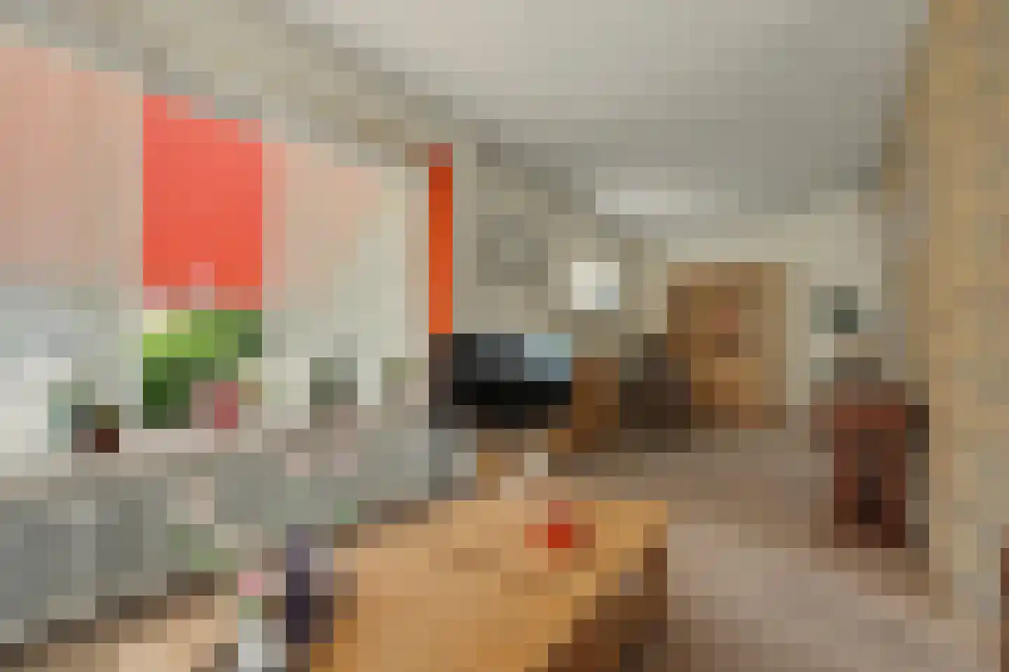 Iepenlaan 1 Udenhout thumbnail 14