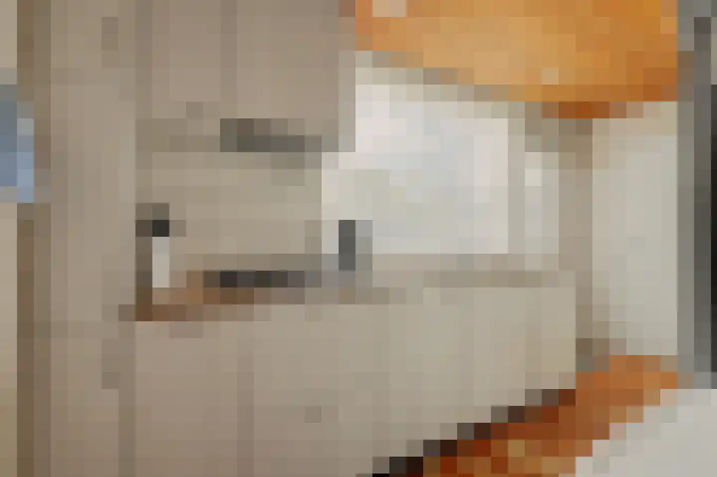 Iepenlaan 1 Udenhout thumbnail 17