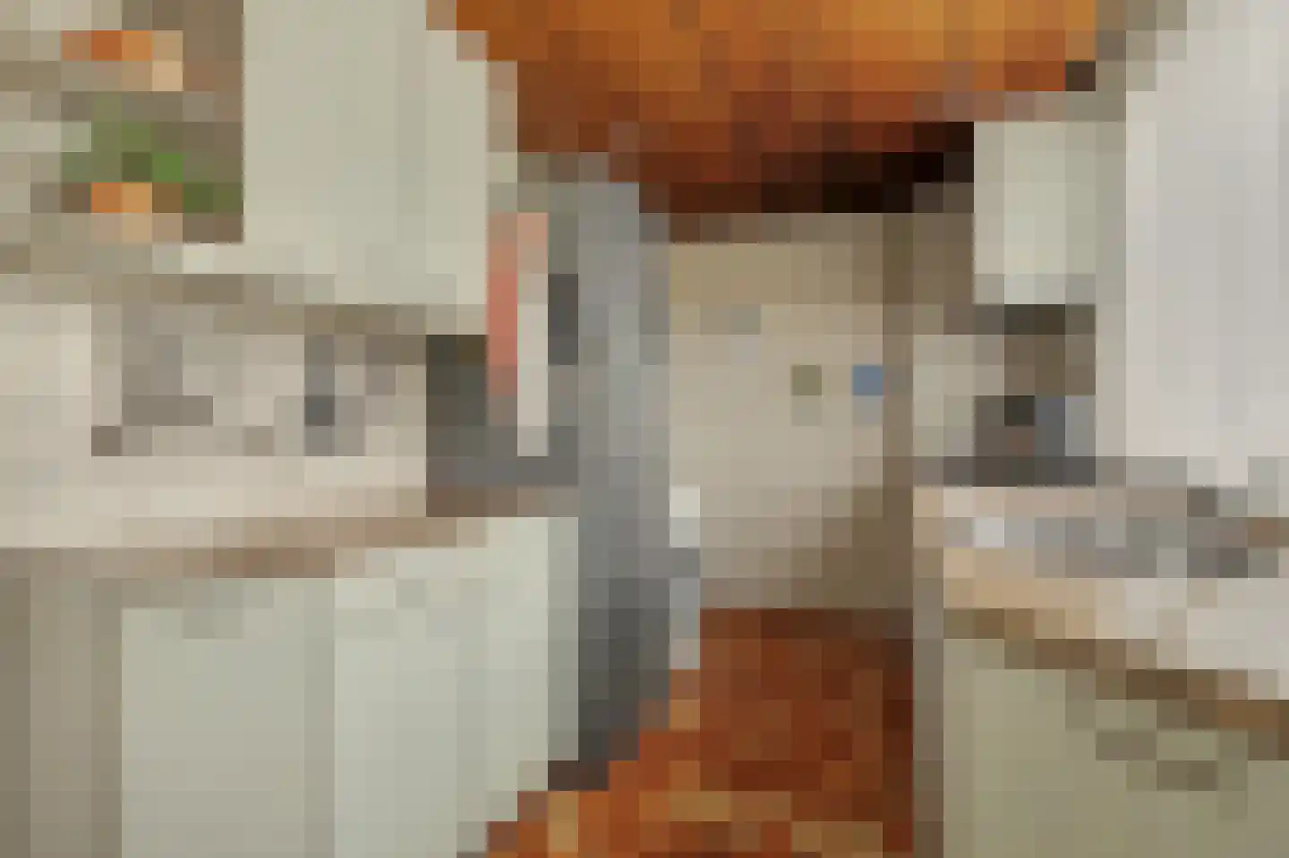 Iepenlaan 1 Udenhout thumbnail 19