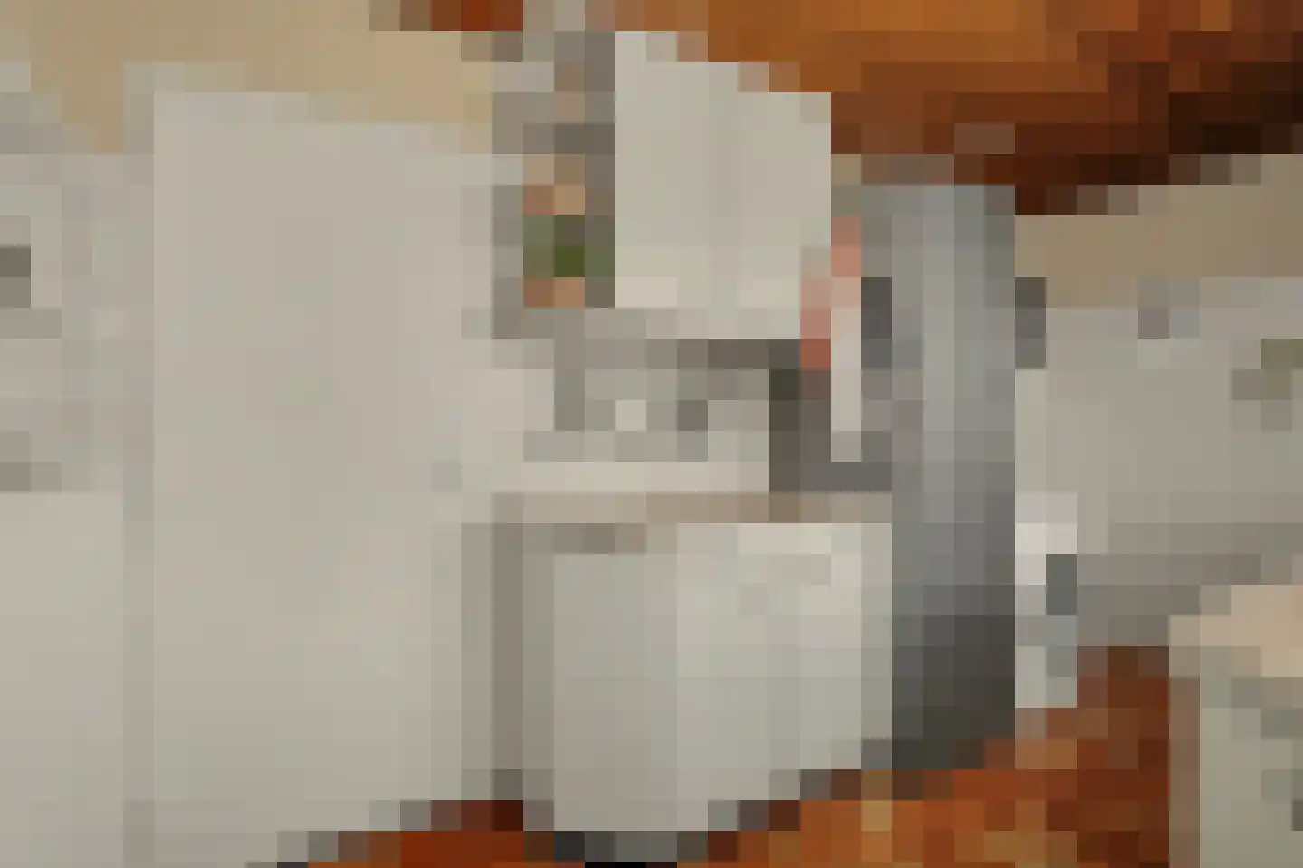 Iepenlaan 1 Udenhout thumbnail 20