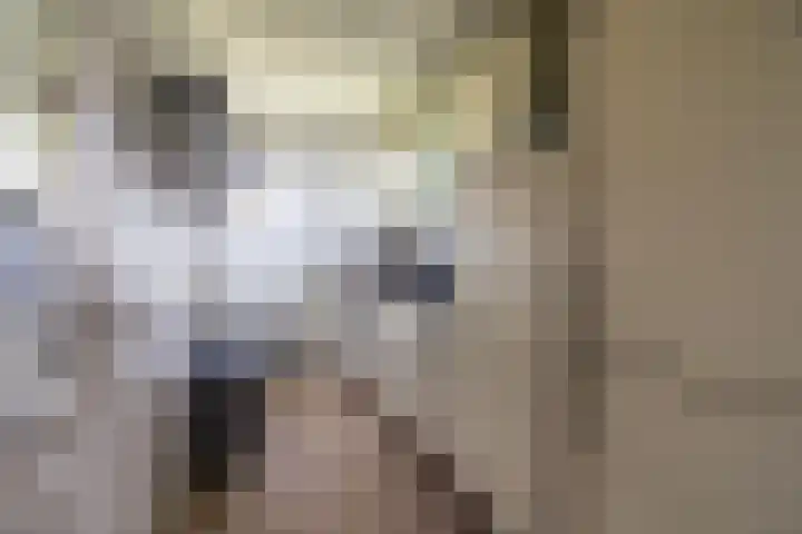Iepenlaan 1 Winschoten thumbnail 15