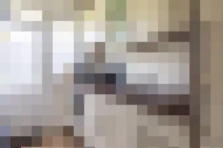 Iepenlaan 1 Winschoten thumbnail 16