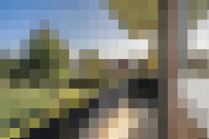 Iepenlaan 1 Winschoten thumbnail 18