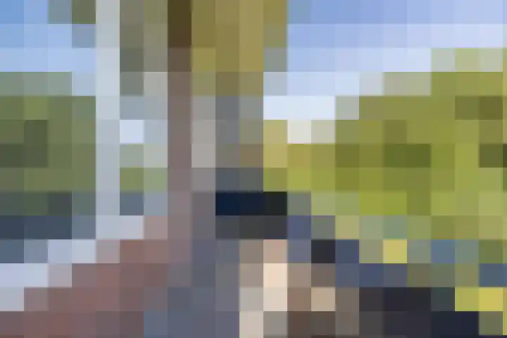 Iepenlaan 1 Winschoten thumbnail 19