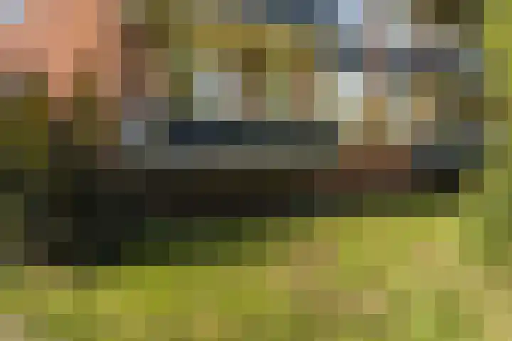 Iepenlaan 1 Winschoten thumbnail 20