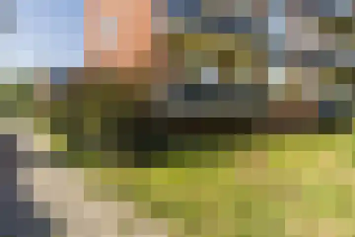 Iepenlaan 1 Winschoten thumbnail 21