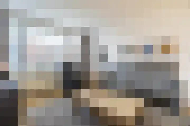 Iepenlaan 1 Winschoten thumbnail 23