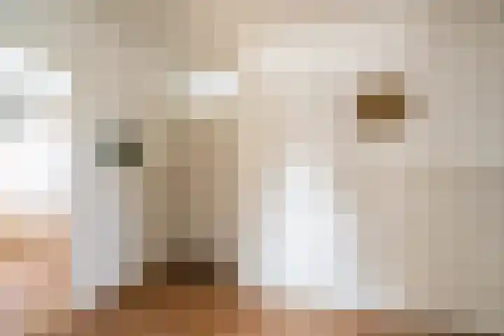 Iepenlaan 1 Winschoten thumbnail 6