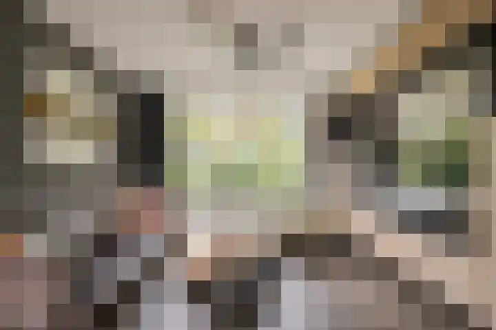 Iepenlaan 10 Heerhugowaard thumbnail 10