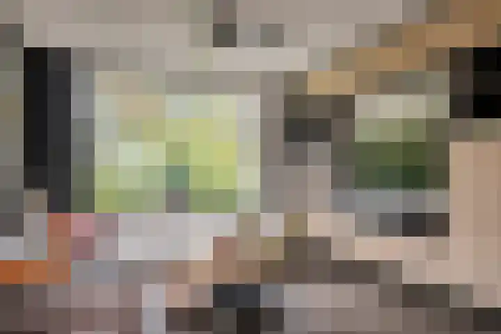 Iepenlaan 10 Heerhugowaard thumbnail 11