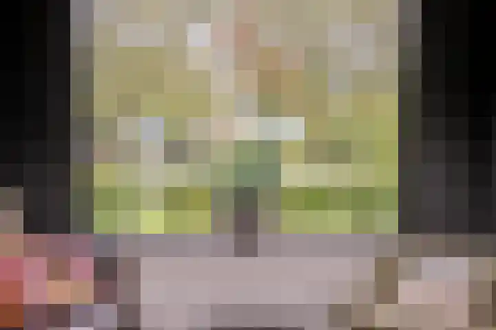 Iepenlaan 10 Heerhugowaard thumbnail 13