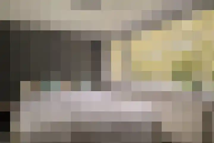 Iepenlaan 10 Heerhugowaard thumbnail 16
