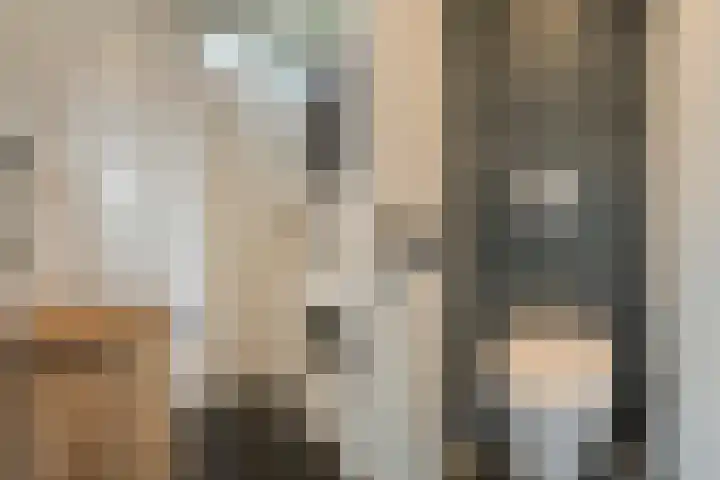 Iepenlaan 10 Heerhugowaard thumbnail 21