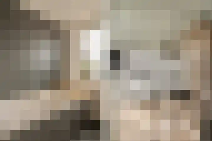 Iepenlaan 10 Heerhugowaard thumbnail 23