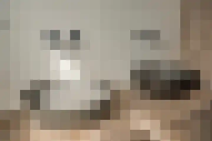 Iepenlaan 10 Heerhugowaard thumbnail 24