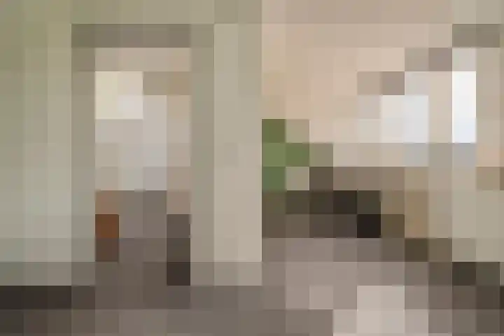 Iepenlaan 10 Heerhugowaard thumbnail 31