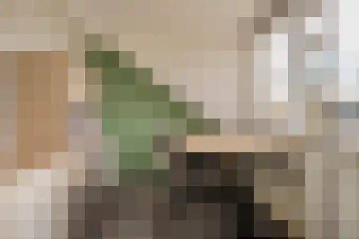 Iepenlaan 10 Heerhugowaard thumbnail 32