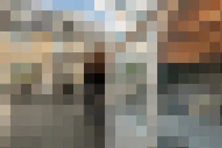 Iepenlaan 10 Heerhugowaard thumbnail 34