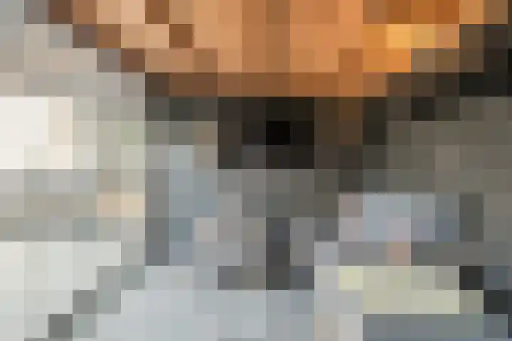 Iepenlaan 10 Heerhugowaard thumbnail 35